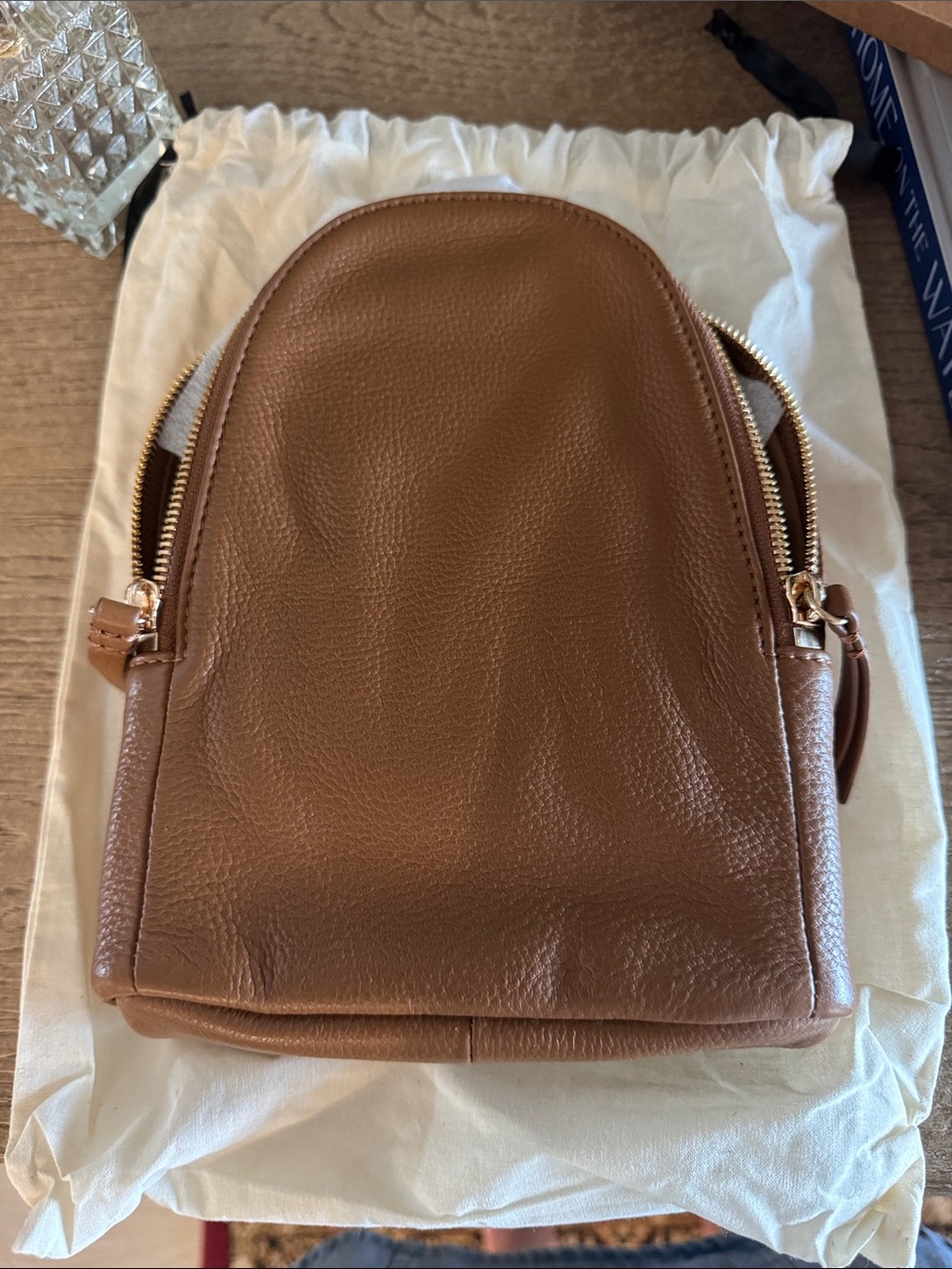 Quince Tan Pebbled Leather Mini Backpack with Gold Hardware